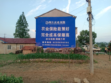 永平墙体广告为何受追捧？